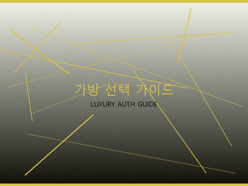 에륩스 25 백 미러급 가방 선택 가이드